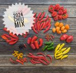 Season 2024 Mix